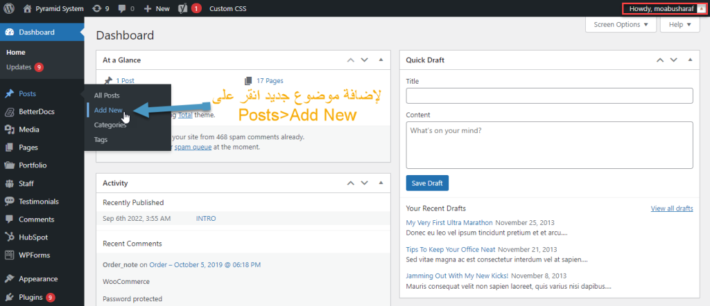 Add New WordPress Post