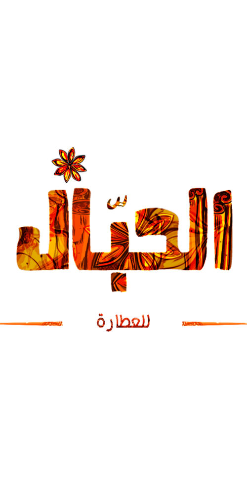 تصميم لوجو